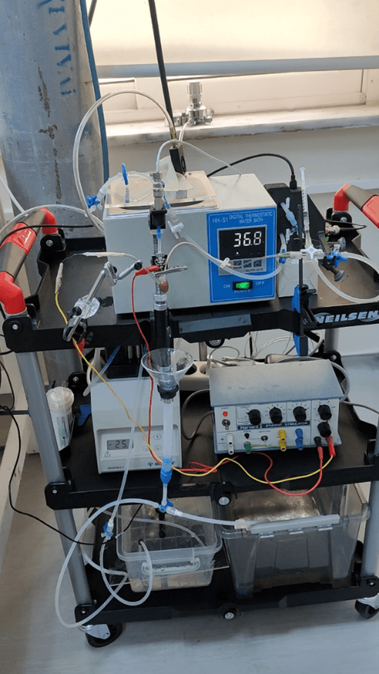 Ex-Vivo Heart Perfusion System