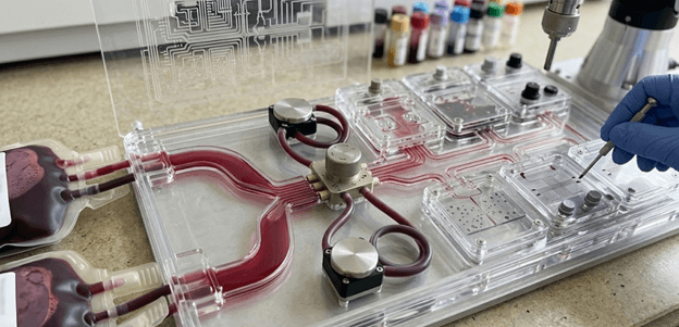Macro-to-Micro Fluidic Cartridge