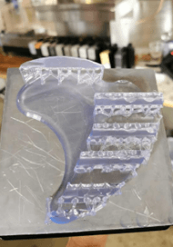 Comprehensive Orthopedic Solutions (Femur Implant, Fracture Repair, Hallux Valgus) 1