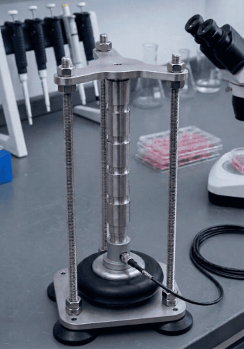 Comprehensive Orthopedic Solutions (Femur Implant, Fracture Repair, Hallux Valgus)